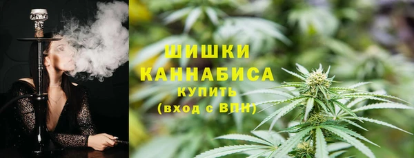 хмурый Богородск