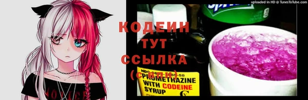 хмурый Богородицк
