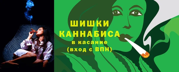 хмурый Богородицк