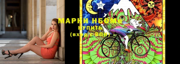хмурый Богородск