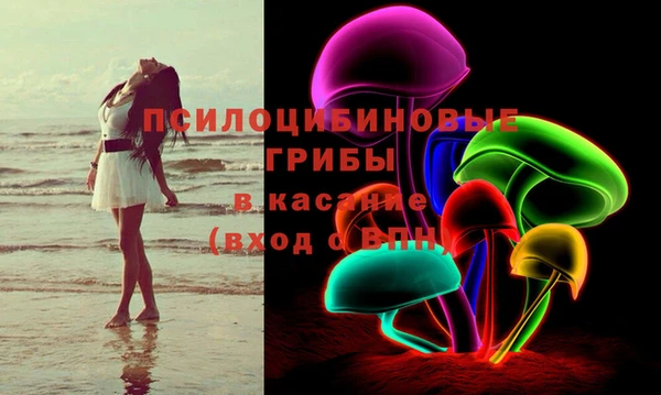 хмурый Богородск
