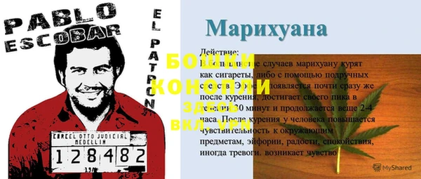 трава Богданович