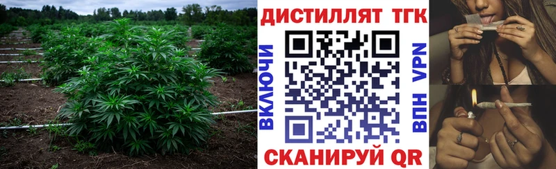 Дистиллят ТГК вейп  blacksprut как зайти  Моршанск 
